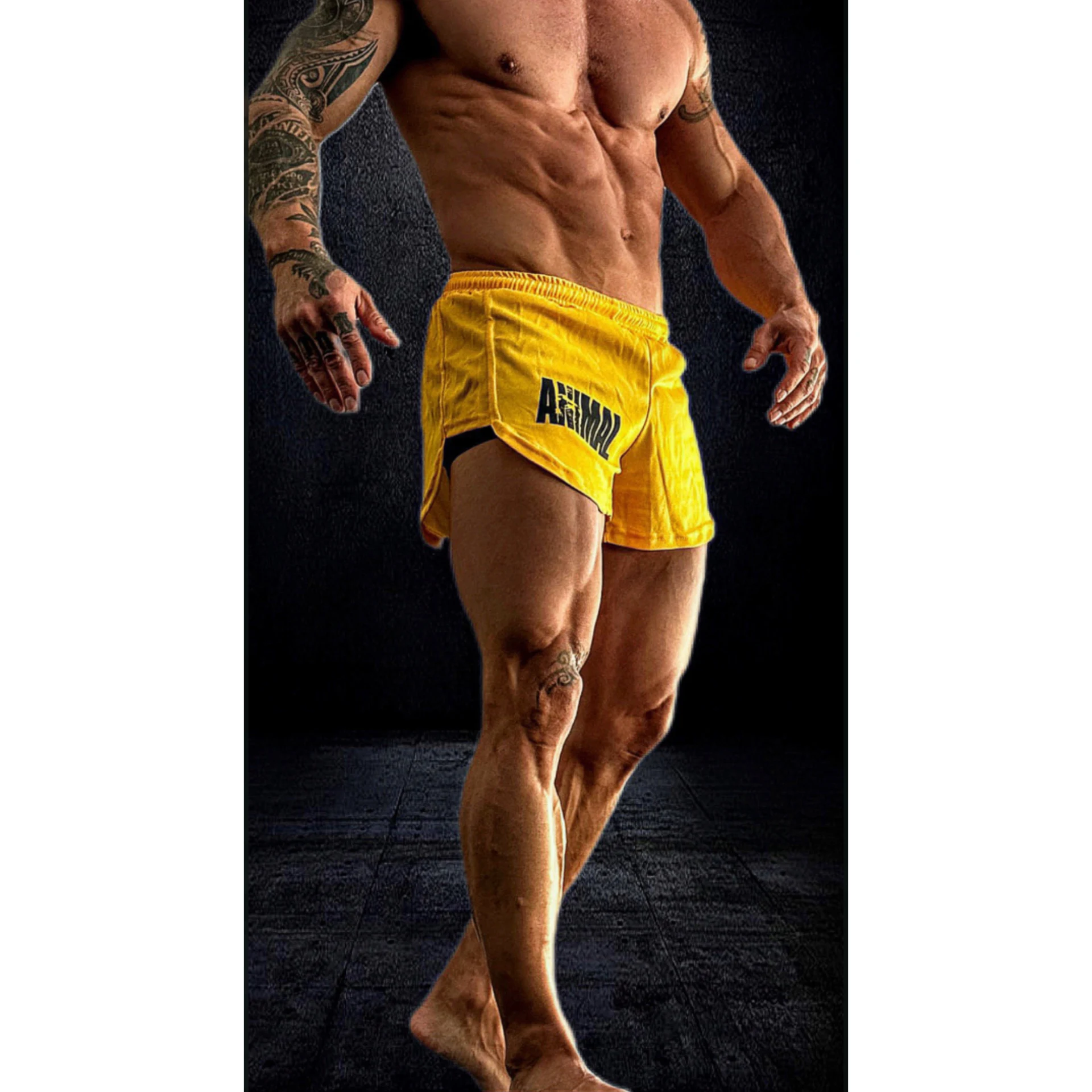 Shorts fit